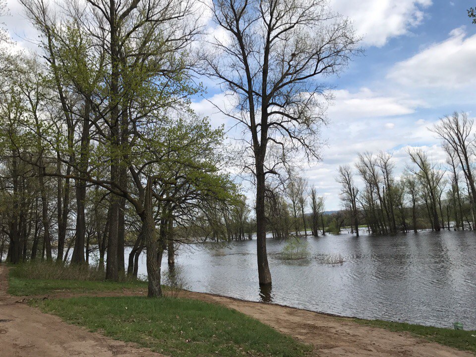 �� "�����"