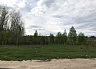 �� "�����"